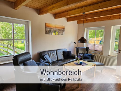 Galeriebild 3