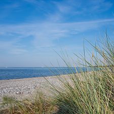 Galeriebild 5