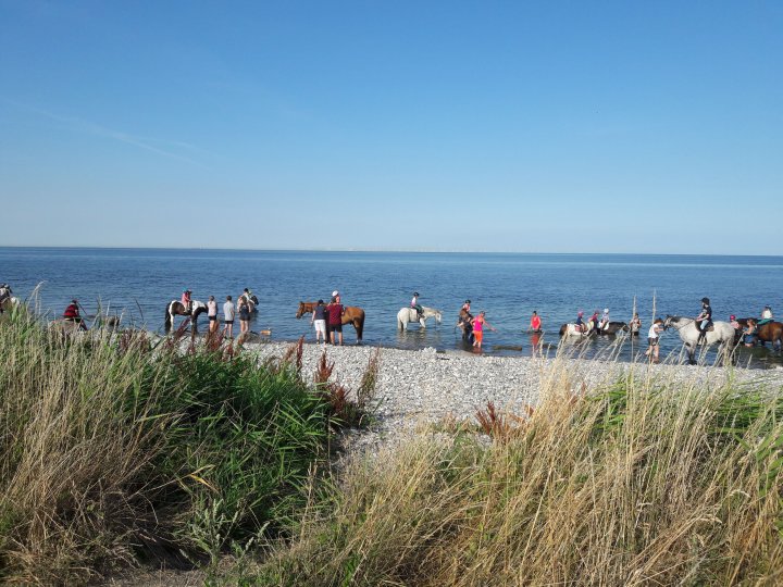 Galeriebild 4