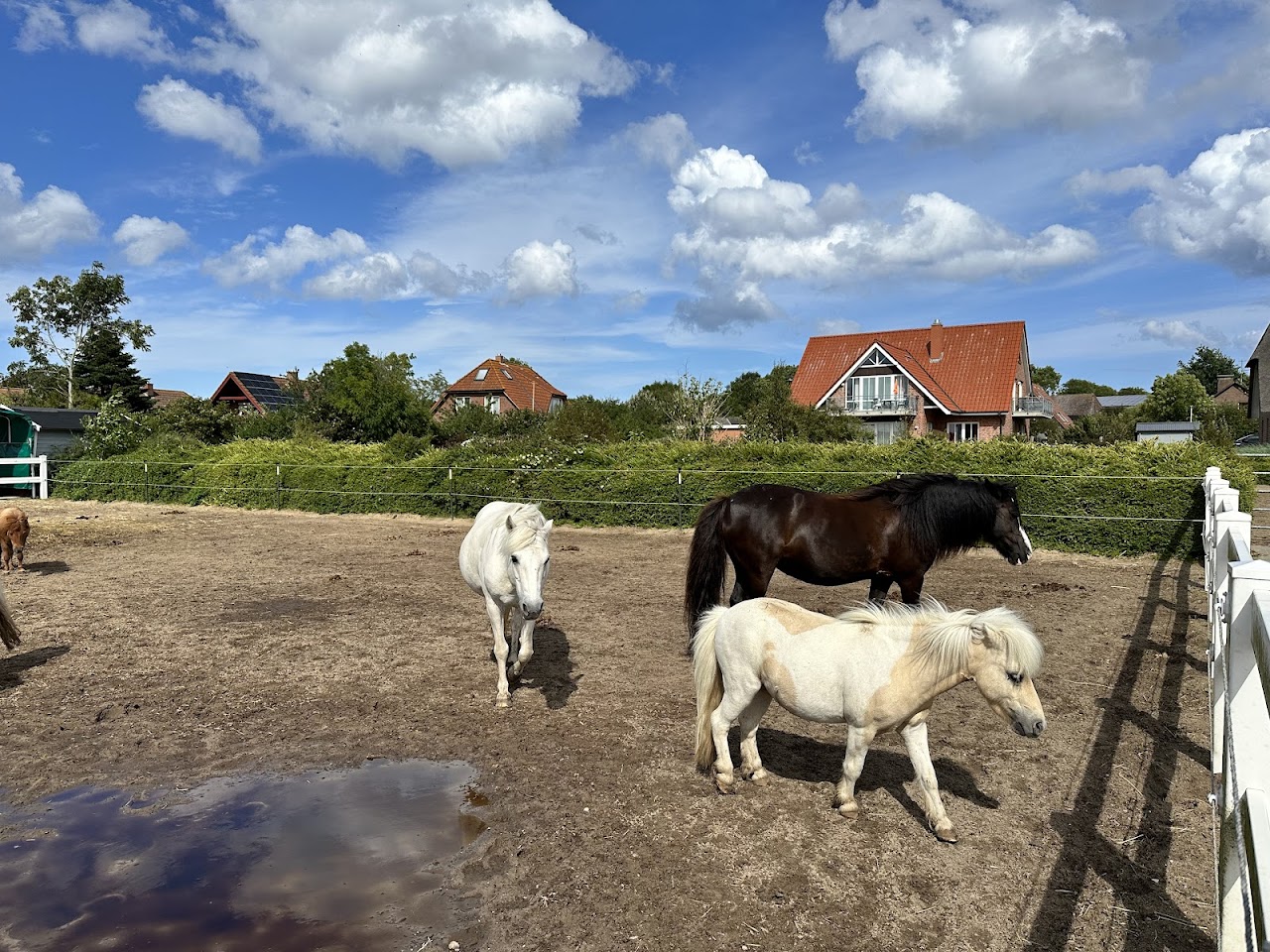 Galeriebild 1