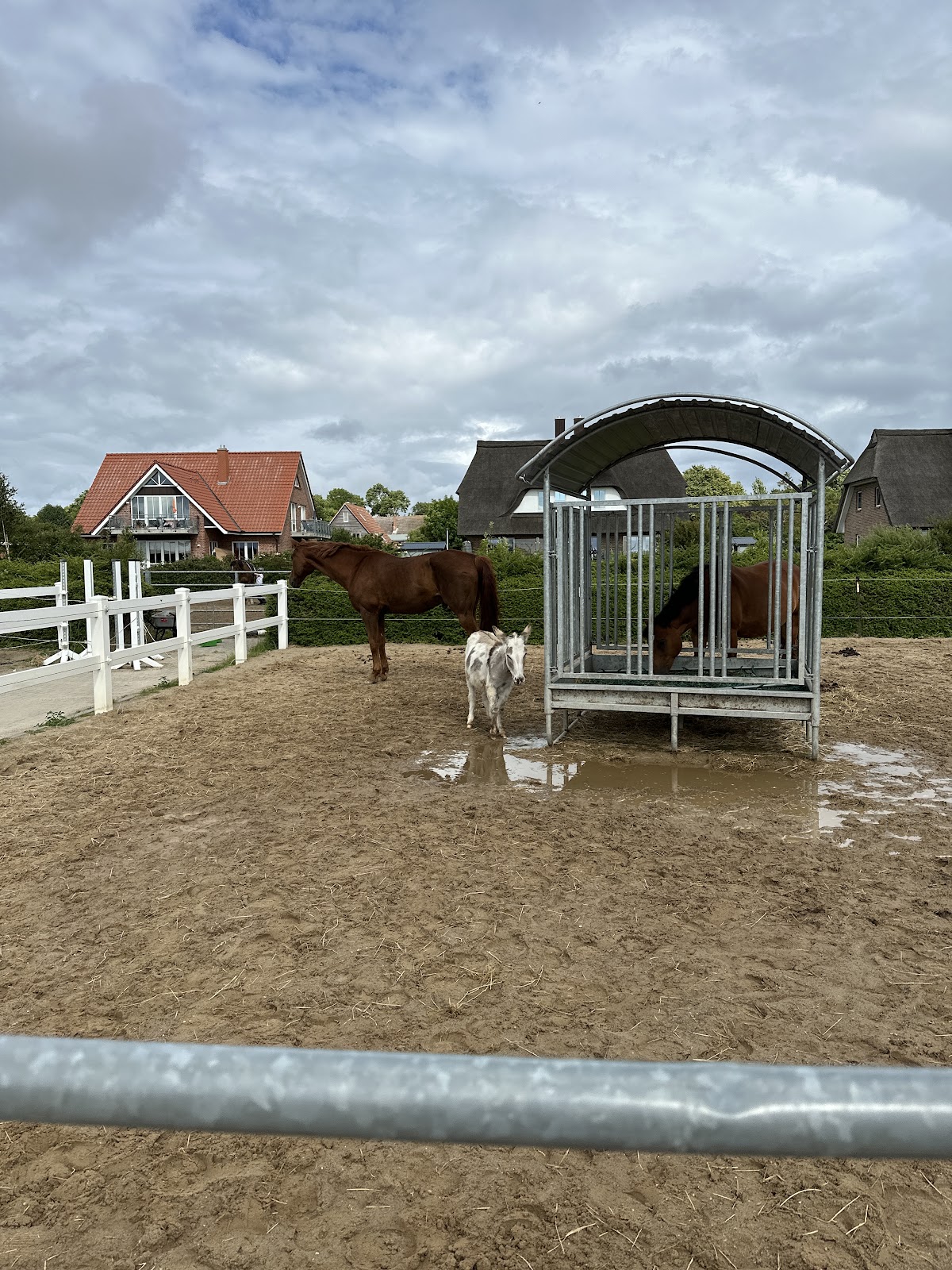 Galeriebild 4