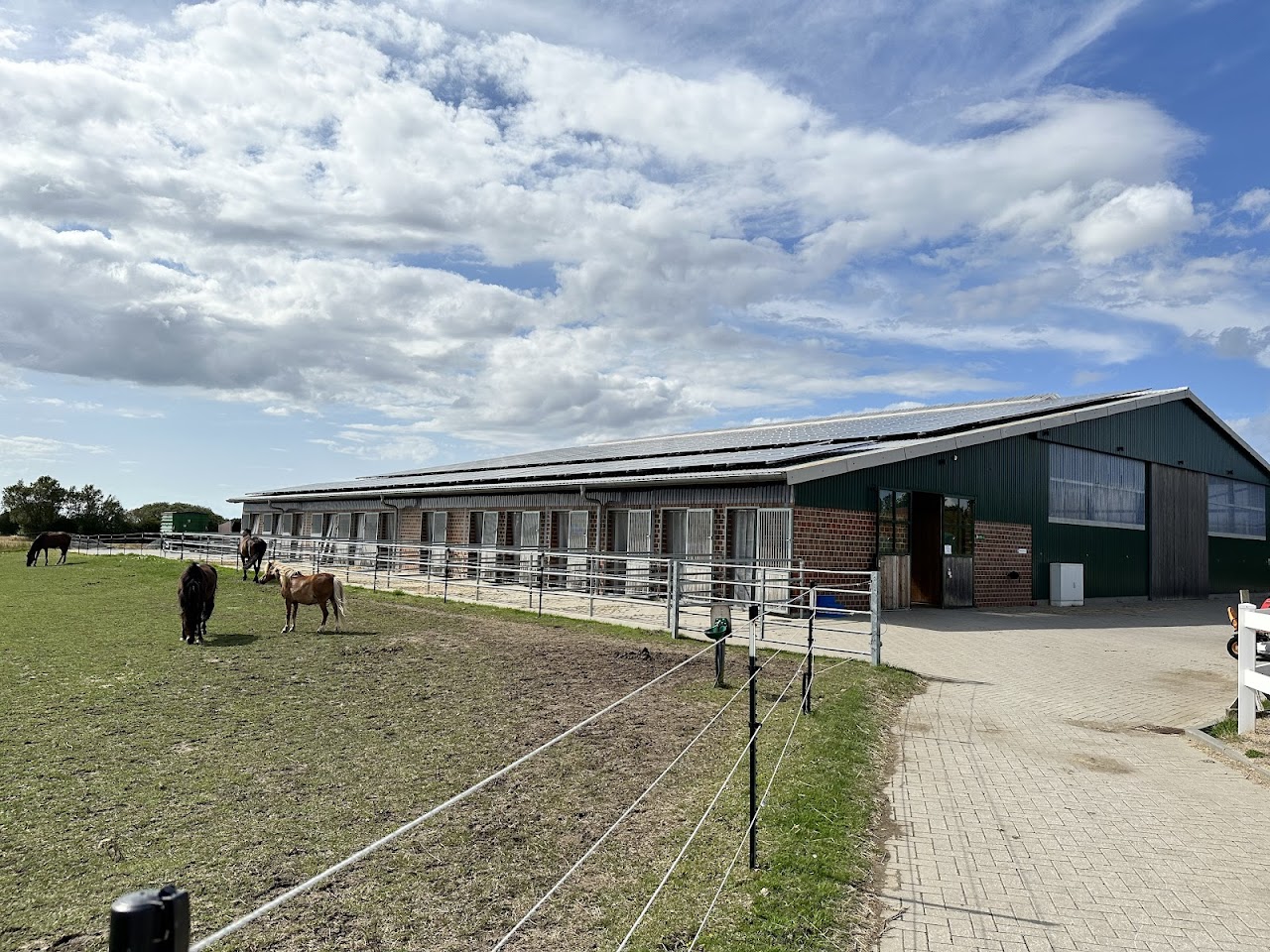 Galeriebild 5