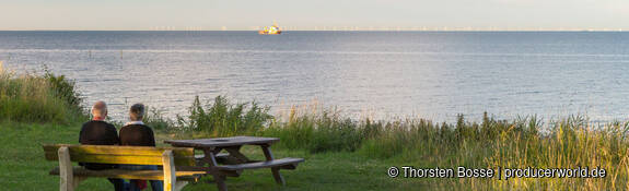 Galeriebild 6