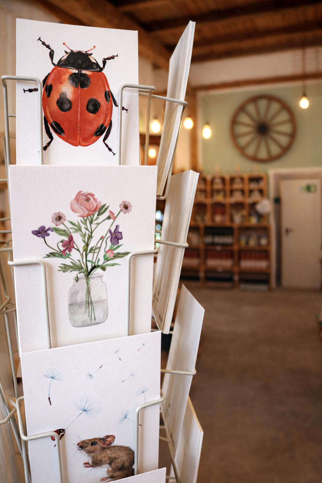 Galeriebild 5