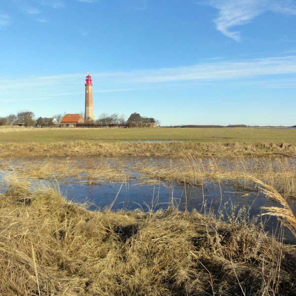 Galeriebild 3