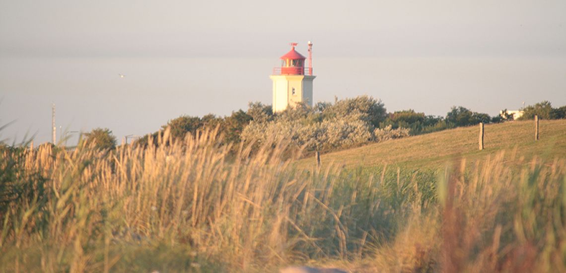 Galeriebild 4