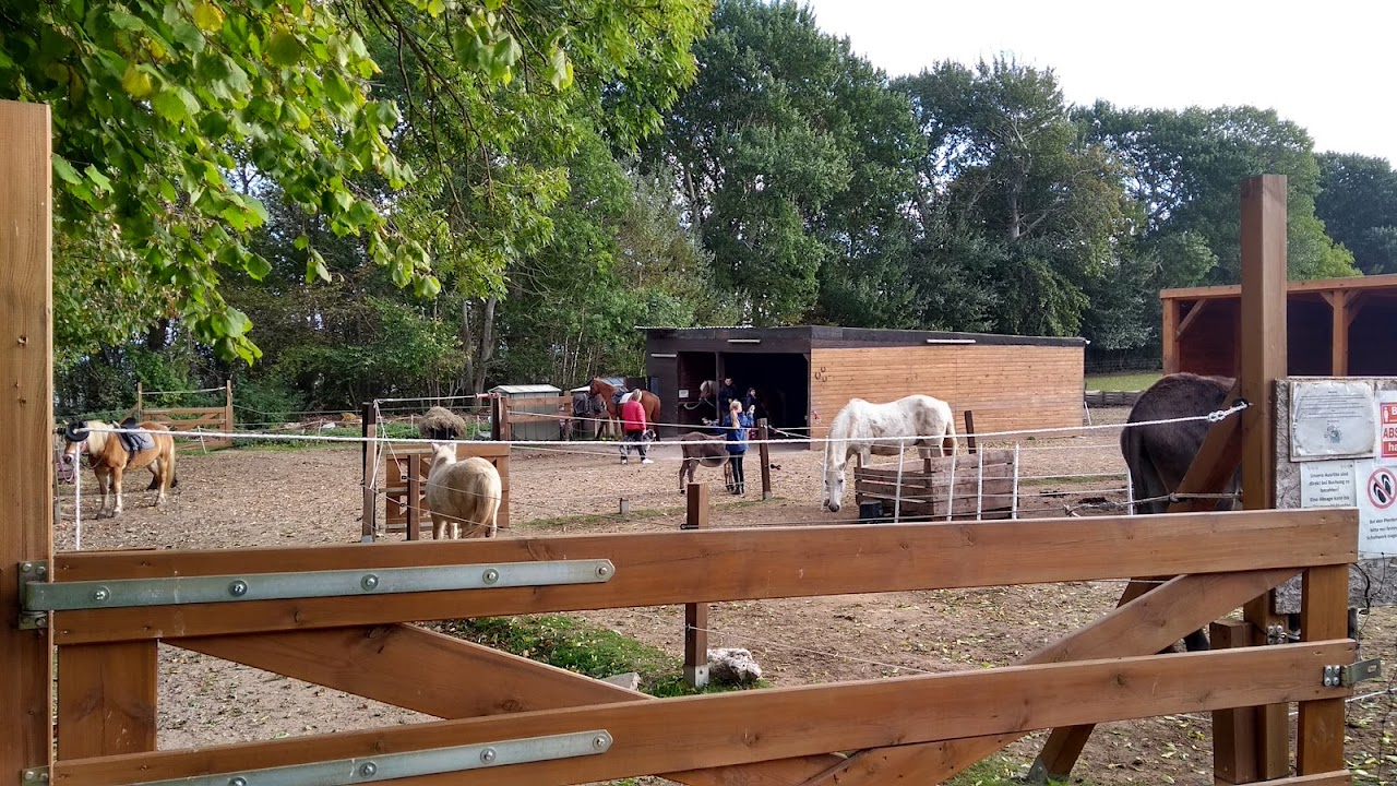 Pony Reiten Ostseecamping Katarinenhof