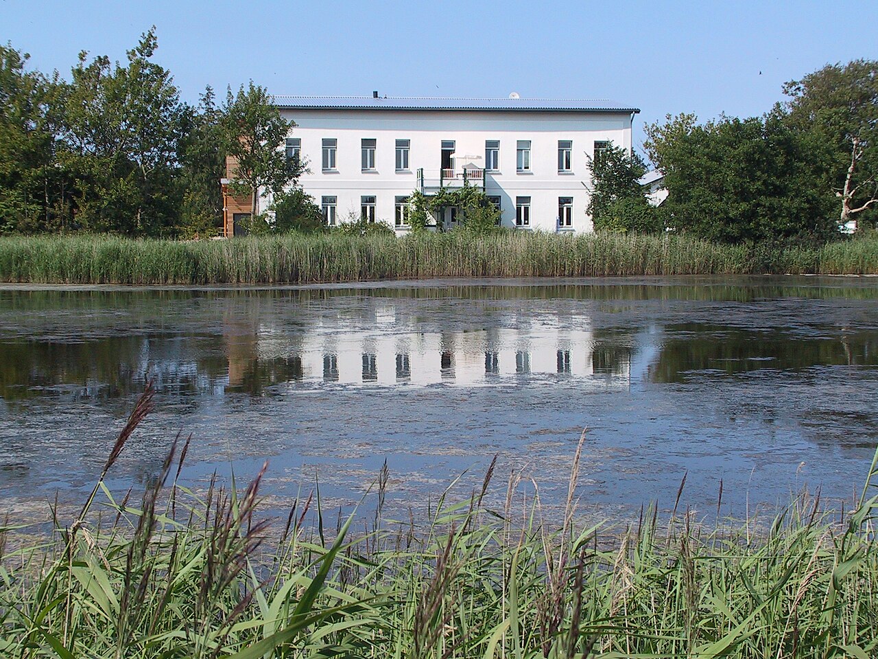 NABU Wasservogelreservat Wallnau