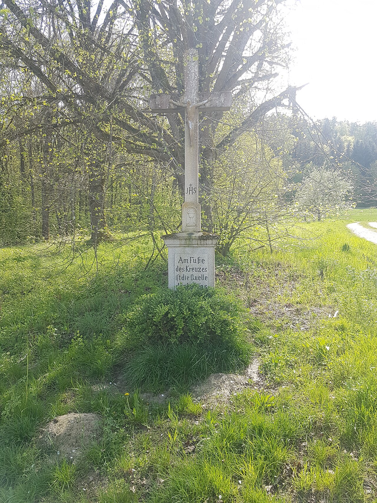 Leben am Weiher