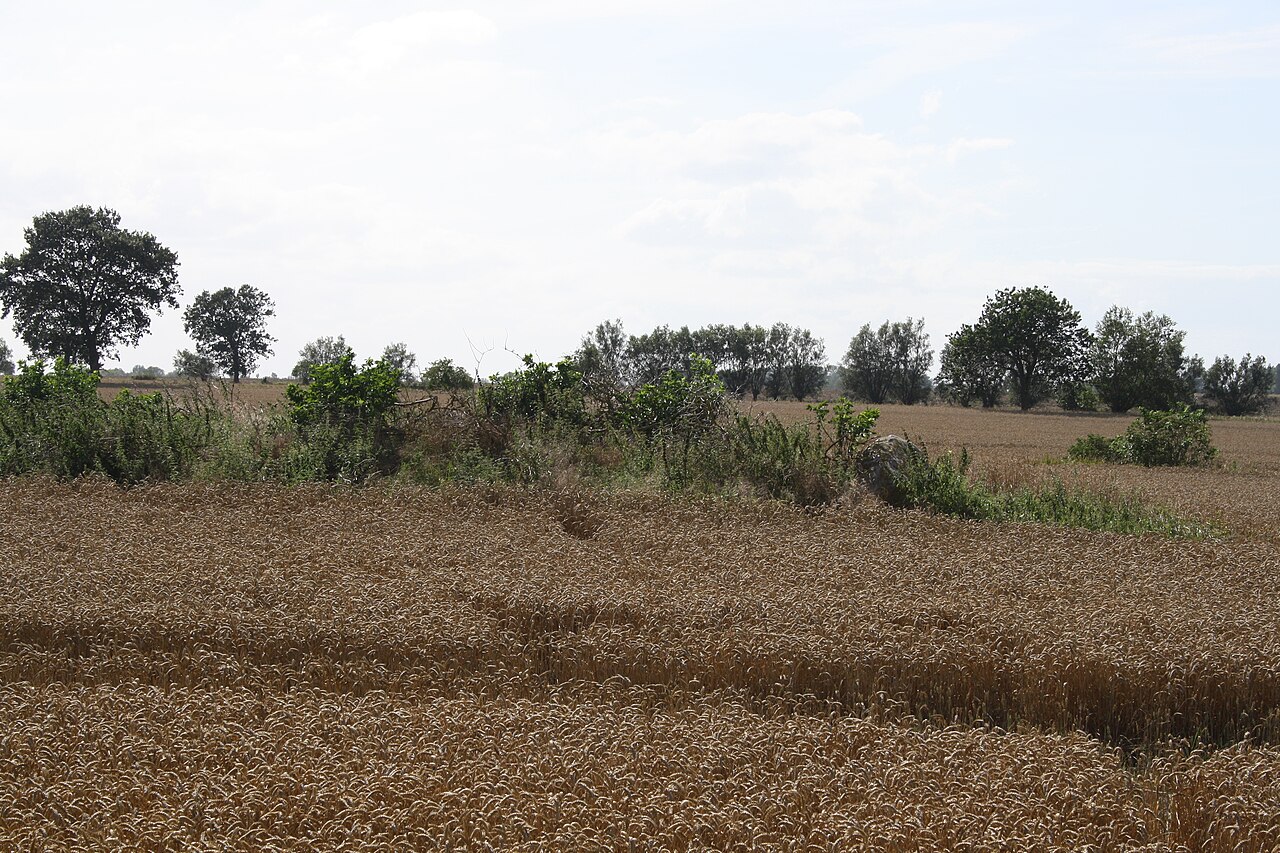 Camping Katharinenhof