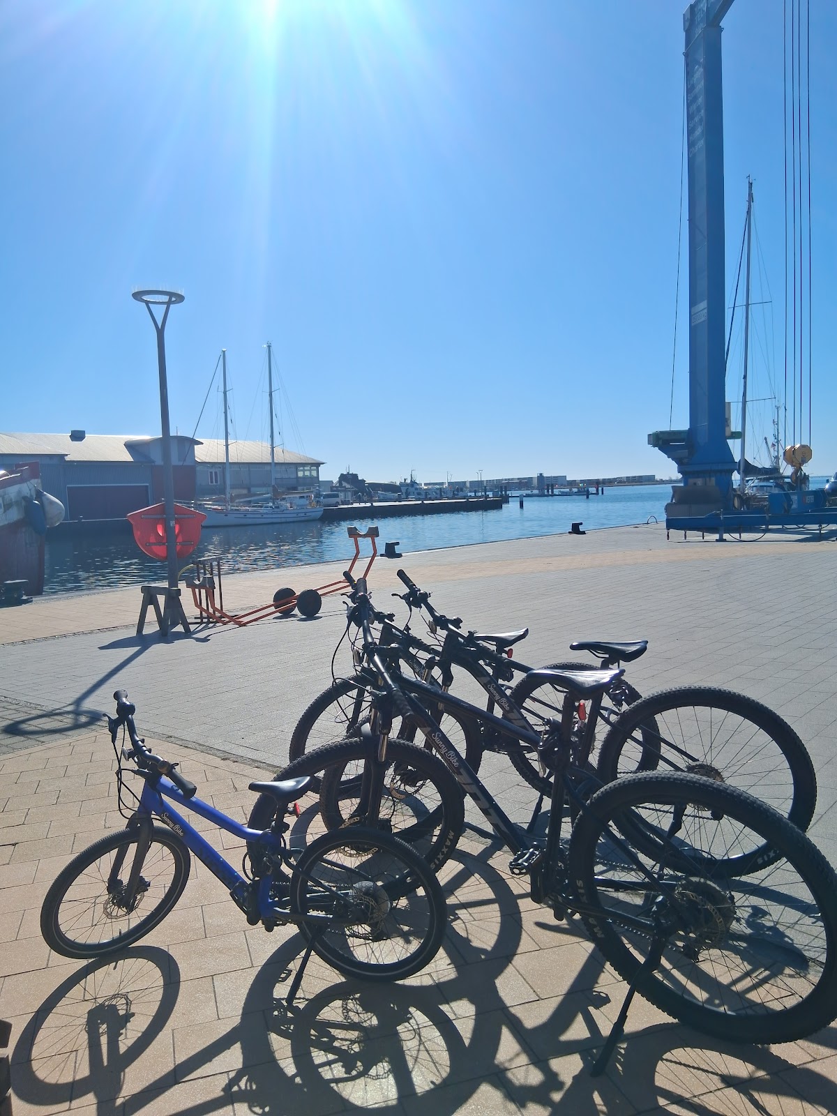 Sunny Bike